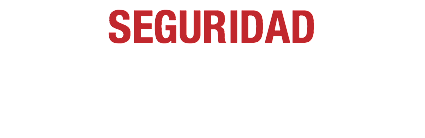 SEGURIDAD